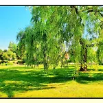 Chateau De Logne Au Coeur De La Moselle * Ay-sur-Moselle