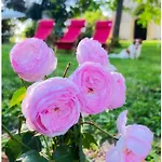 Chateau De Logne Au Coeur De La Moselle Ay-sur-Moselle