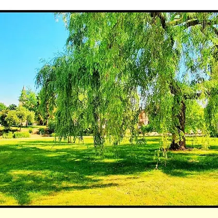 Chateau De Logne Au Coeur De La Moselle * Ay-sur-Moselle