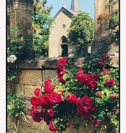 Château De Logne Au Coeur De La Moselle Appartement