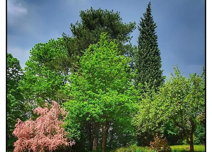 Chateau De Logne Au Coeur De La Moselle Apartmán *