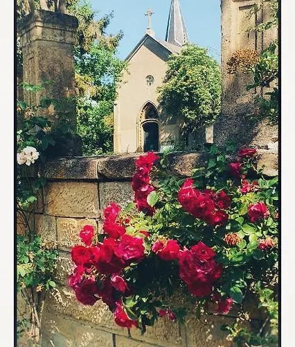 Chateau De Logne Au Coeur De La Moselle Apartmán