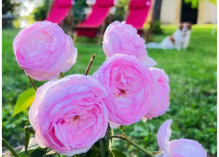 Chateau De Logne Au Coeur De La Moselle Ay-sur-Moselle