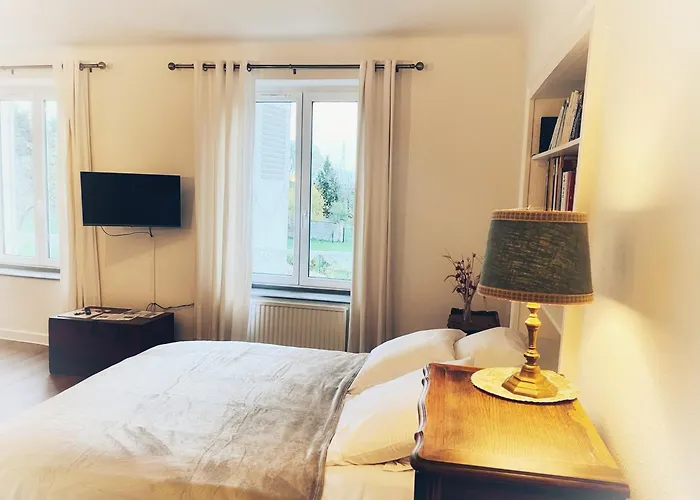 Chateau De Logne Au Coeur De La Moselle *